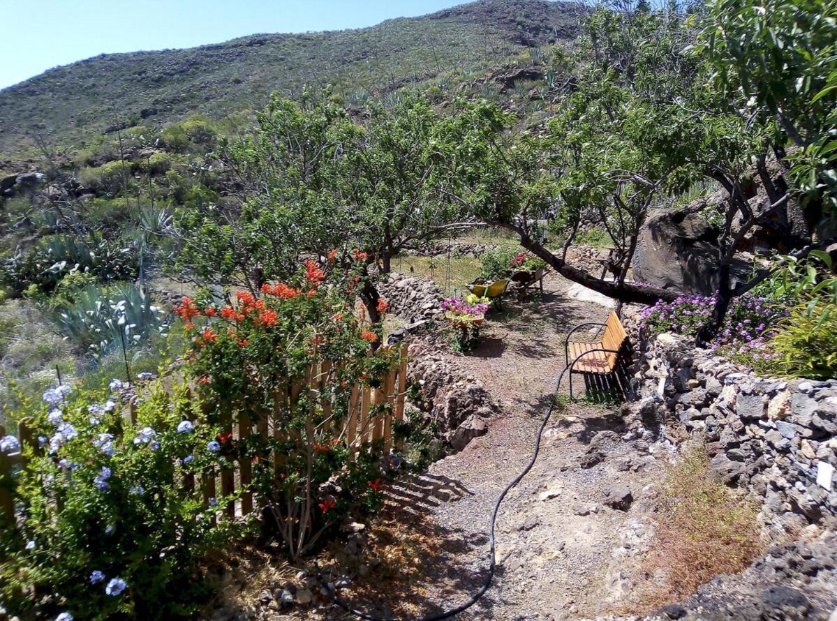 Casa La Fuente Villa อาโรนา ภายนอก รูปภาพ